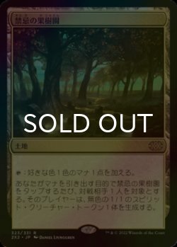 画像1: [FOIL] 禁忌の果樹園/Forbidden Orchard 【日本語版】 [2X2-土地R]