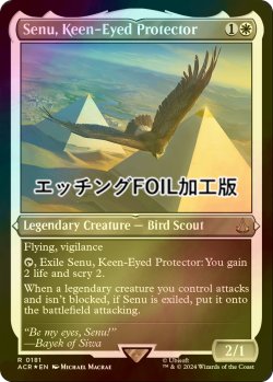 画像1: [FOIL] 鋭い目の守護者、セヌ/Senu, Keen-Eyed Protector (エッチング仕様) 【英語版】 [ACR-白R]