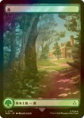 [FOIL] 森/Forest No.110 (全面アート版) 【日本語版】 [ACR-土地C]