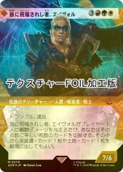 画像1: [FOIL] 狼に祝福されし者、エイヴォル/Eivor, Wolf-Kissed (ショーケース版・テクスチャー・フォイル仕様) 【日本語版】 [ACR-金MR]