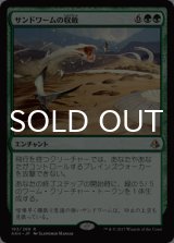 サンドワームの収斂/Sandwurm Convergence 【日本語版】 [AKH-緑R]