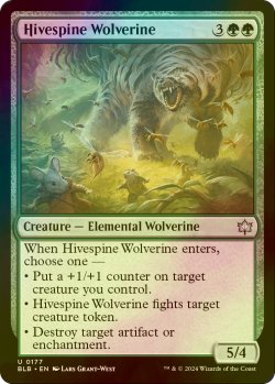 画像1: [FOIL] 巣背骨のクズリ/Hivespine Wolverine 【英語版】 [BLB-緑U]