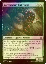 [FOIL] 屍苺の耕作者/Corpseberry Cultivator 【英語版】 [BLB-金C]