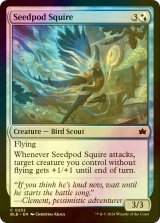 [FOIL] 豆殻の従者/Seedpod Squire 【英語版】 [BLB-金C]