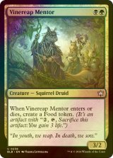 [FOIL] 蔦刈りの導師/Vinereap Mentor 【英語版】 [BLB-金U]