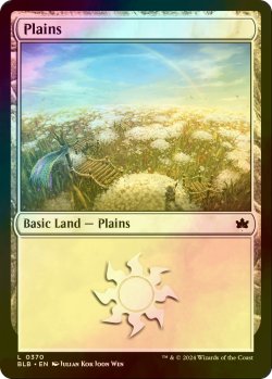 画像1: [FOIL] 平地/Plains No.370 【英語版】 [BLB-土地C]