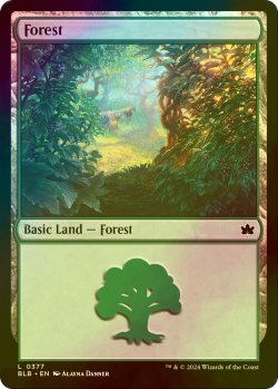 画像1: [FOIL] 森/Forest No.377 【英語版】 [BLB-土地C]