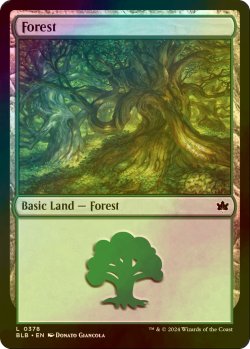 画像1: [FOIL] 森/Forest No.378 【英語版】 [BLB-土地C]