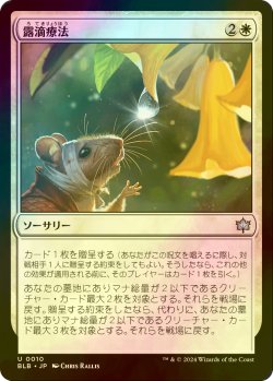 画像1: [FOIL] 露滴療法/Dewdrop Cure 【日本語版】 [BLB-白U]