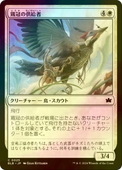 画像1: [FOIL] 鶏冠の供給者/Pileated Provisioner 【日本語版】 [BLB-白C]