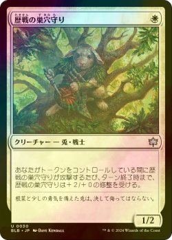 画像1: [FOIL] 歴戦の巣穴守り/Seasoned Warrenguard 【日本語版】 [BLB-白U]