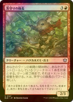 画像1: [FOIL] 茨守りの隊長/Brambleguard Captain 【日本語版】 [BLB-赤U]