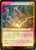 [FOIL] 電気の伝導/Conduct Electricity 【日本語版】 [BLB-赤C]