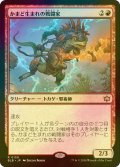 [FOIL] かまど生まれの戦闘家/Hearthborn Battler 【日本語版】 [BLB-赤R]