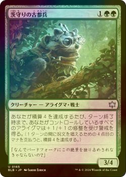 画像1: [FOIL] 茨守りの古参兵/Brambleguard Veteran 【日本語版】 [BLB-緑U]