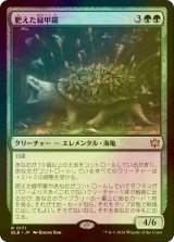 [FOIL] 肥えた緑甲羅/Fecund Greenshell 【日本語版】 [BLB-緑R]