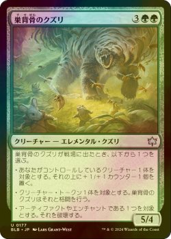 画像1: [FOIL] 巣背骨のクズリ/Hivespine Wolverine 【日本語版】 [BLB-緑U]