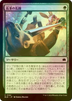 画像1: [FOIL] 長茎の乱闘/Longstalk Brawl 【日本語版】 [BLB-緑C]