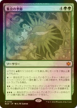 画像1: [FOIL] 集会の季節/Season of Gathering 【日本語版】 [BLB-緑MR]