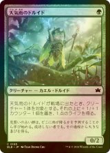 [FOIL] 天気雨のドルイド/Sunshower Druid 【日本語版】 [BLB-緑C]