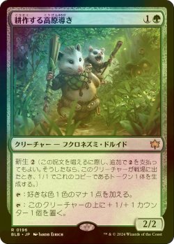 画像1: [FOIL] 耕作する高原導き/Tender Wildguide 【日本語版】 [BLB-緑R]