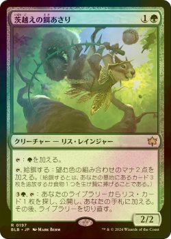 画像1: [FOIL] 茨越えの餌あさり/Thornvault Forager 【日本語版】 [BLB-緑R]