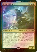 [FOIL] 分岐する嵐、アラニア/Alania, Divergent Storm 【日本語版】 [BLB-金R]