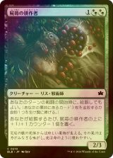 [FOIL] 屍苺の耕作者/Corpseberry Cultivator 【日本語版】 [BLB-金C]