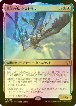 画像1: [FOIL] 風冠の者、ケストラル/Kastral, the Windcrested 【日本語版】 [BLB-金R]