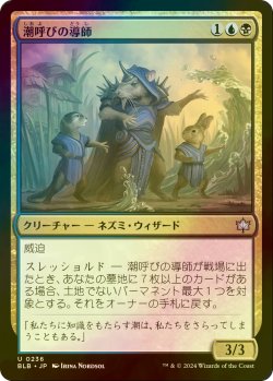 画像1: [FOIL] 潮呼びの導師/Tidecaller Mentor 【日本語版】 [BLB-金U]