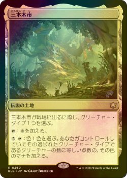 画像1: [FOIL] 三本木市/Three Tree City 【日本語版】 [BLB-土地R]