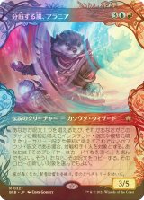 [FOIL] 分岐する嵐、アラニア/Alania, Divergent Storm (ショーケース版) 【日本語版】 [BLB-金R]