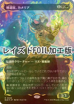 画像1: [FOIL] 種選奴、カメリア/Camellia, the Seedmiser (全面アート版・レイズド・フォイル仕様) 【日本語版】 [BLB-金R]