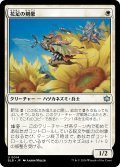 花足の剣豪/Flowerfoot Swordmaster 【日本語版】 [BLB-白U]