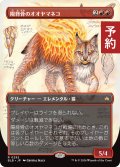 陽背骨のオオヤマネコ/Sunspine Lynx (全面アート版) 【日本語版】 [BLB-赤R] (予約V)