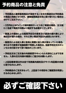 画像2: 【予約商品】ブルームバロウ 日本語版  スターターキット 1BOX (予約P)