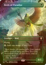 [FOIL] 極楽鳥/Birds of Paradise (全面アート版) 【英語版】 [BLC-緑R]