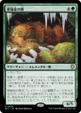 常緑皮の熊/Evercoat Ursine 【日本語版】 [BLC-緑R]