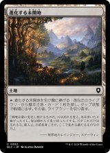 進化する未開地/Evolving Wilds 【日本語版】 [BLC-土地C]