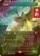 [FOIL] 極楽鳥/Birds of Paradise (全面アート版) 【日本語版】 [BLC-緑R] (予約W)