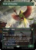 極楽鳥/Birds of Paradise (全面アート版) 【英語版】 [BLC-緑R]