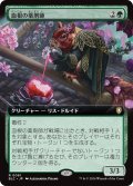 血根の薬剤師/Bloodroot Apothecary (拡張アート版) 【日本語版】 [BLC-緑R]