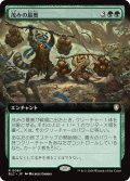 茂みの最奥/Thickest in the Thicket (拡張アート版) 【日本語版】 [BLC-緑R]