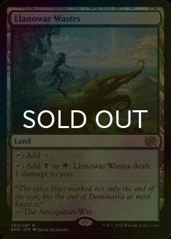 画像1: [FOIL] ラノワールの荒原/Llanowar Wastes 【英語版】 [BRO-土地R]