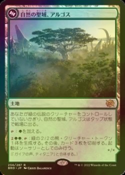 画像1: [FOIL] 自然の聖域、アルゴス/Argoth, Sanctum of Nature 【日本語版】 [BRO-土地R]