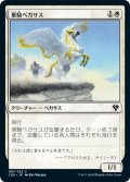 乗騎ペガサス/Cavalry Pegasus 【日本語版】 [C20-白C]