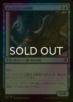 画像1: [FOIL] アーラコクラの隠密/Aarakocra Sneak 【日本語版】 [CLB-青C]