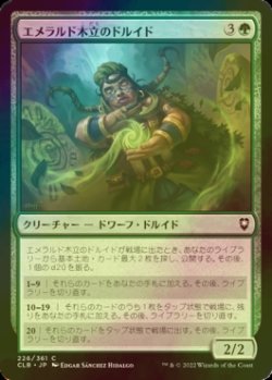 画像1: [FOIL] エメラルド木立のドルイド/Druid of the Emerald Grove 【日本語版】 [CLB-緑C]