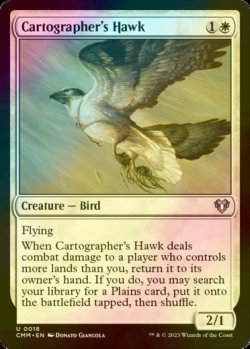 画像1: [FOIL] 地図作りの鷹/Cartographer's Hawk 【英語版】 [CMM-白U]