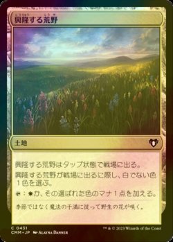 画像1: [FOIL] 興隆する荒野/Thriving Heath 【日本語版】 [CMM-土地C]